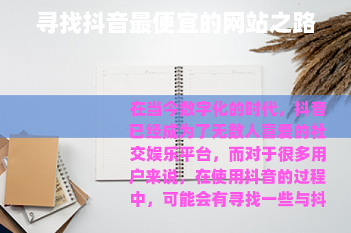 寻找抖音最便宜的网站之路