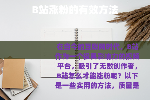 B站涨粉的有效方法