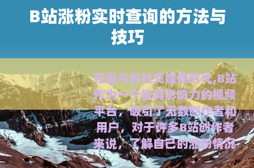 B站涨粉实时查询的方法与技巧