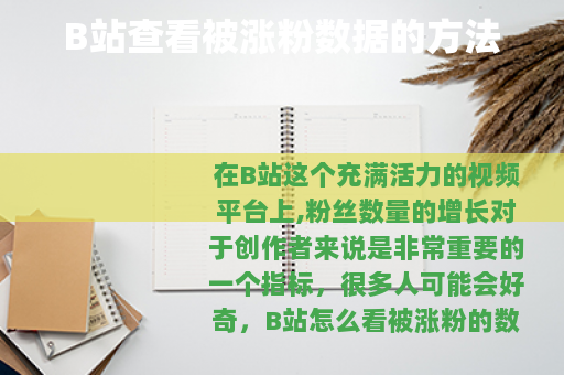 B站查看被涨粉数据的方法