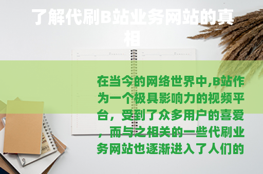 了解代刷B站业务网站的真相