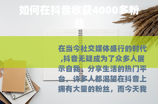 如何在抖音收获4000多粉丝