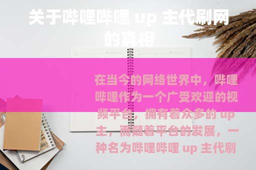 关于哔哩哔哩 up 主代刷网的真相