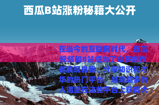 西瓜B站涨粉秘籍大公开