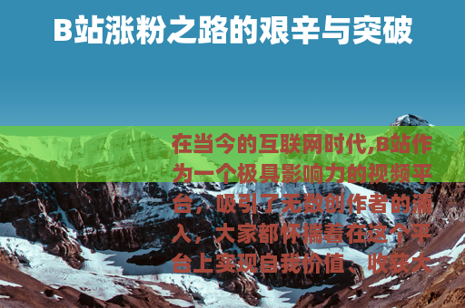 B站涨粉之路的艰辛与突破