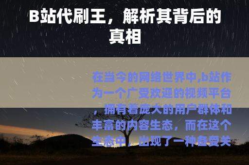 B站代刷王，解析其背后的真相