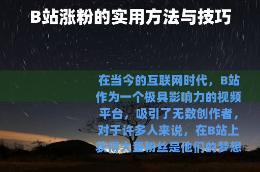 B站涨粉的实用方法与技巧