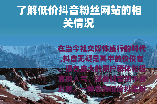 了解低价抖音粉丝网站的相关情况
