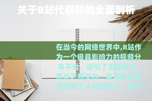 关于B站代刷器的全面剖析