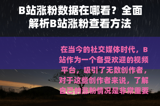B站涨粉数据在哪看？全面解析B站涨粉查看方法