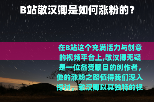 B站敬汉卿是如何涨粉的？