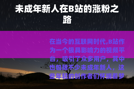 未成年新人在B站的涨粉之路