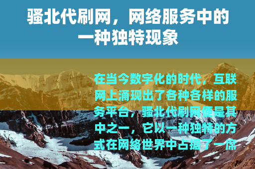骚北代刷网，网络服务中的一种独特现象