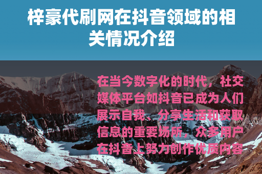 梓豪代刷网在抖音领域的相关情况介绍