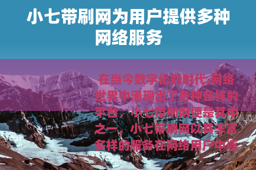 小七带刷网为用户提供多种网络服务