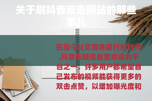 关于刷抖音双击网站的那些事儿