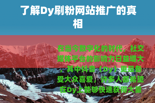 了解Dy刷粉网站推广的真相