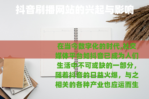 抖音刷播网站的兴起与影响