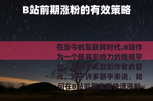 B站前期涨粉的有效策略