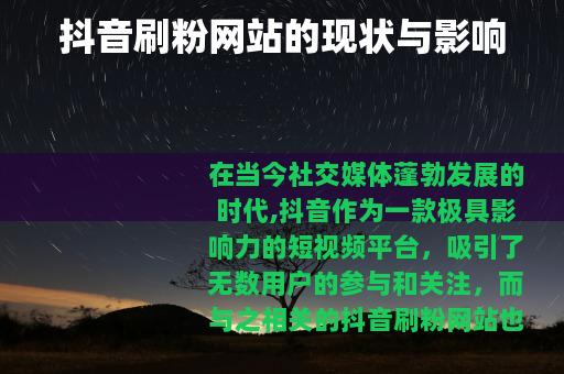 抖音刷粉网站的现状与影响