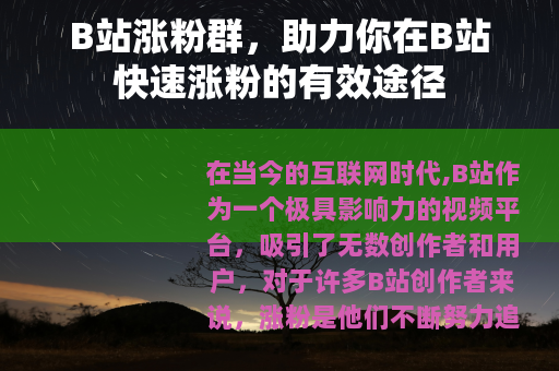 B站涨粉群，助力你在B站快速涨粉的有效途径