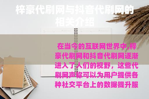 梓豪代刷网与抖音代刷网的相关介绍