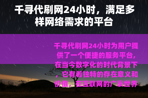 千寻代刷网24小时，满足多样网络需求的平台