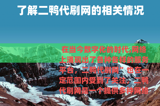 了解二鸭代刷网的相关情况