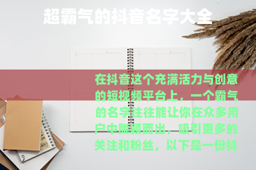 超霸气的抖音名字大全