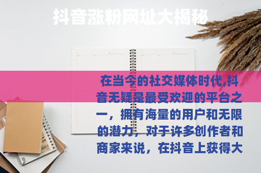 抖音涨粉网址大揭秘