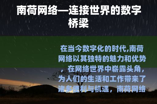 南荷网络—连接世界的数字桥梁