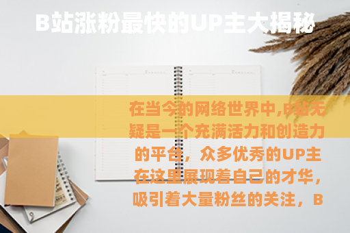 B站涨粉最快的UP主大揭秘