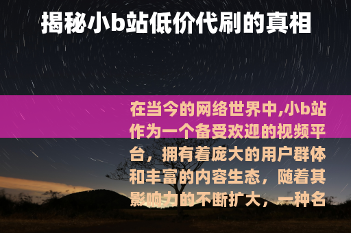 揭秘小b站低价代刷的真相