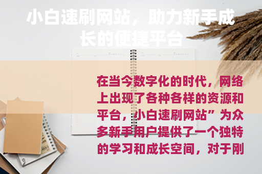 小白速刷网站，助力新手成长的便捷平台
