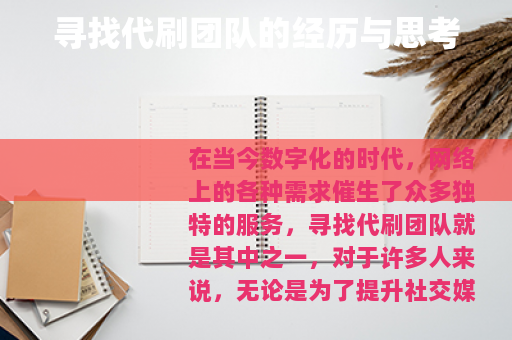 寻找代刷团队的经历与思考