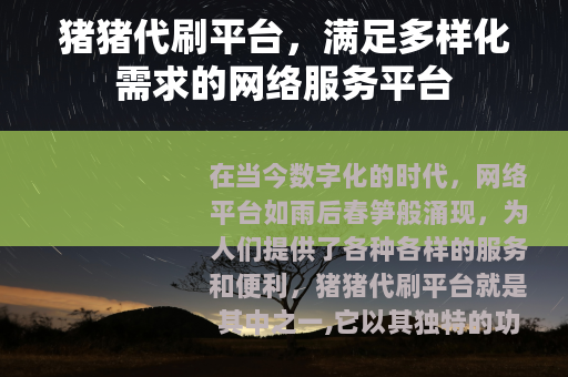 猪猪代刷平台，满足多样化需求的网络服务平台