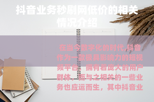 抖音业务秒刷网低价的相关情况介绍