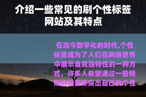 介绍一些常见的刷个性标签网站及其特点