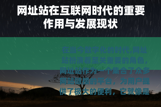 网址站在互联网时代的重要作用与发展现状