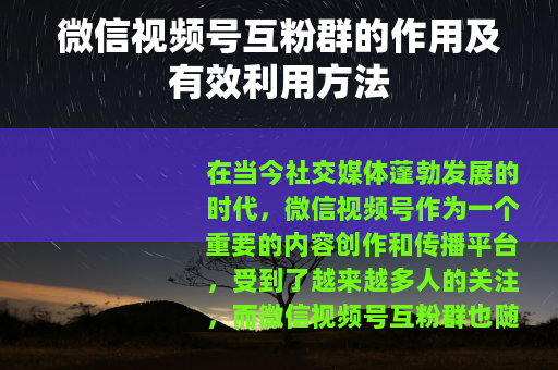 微信视频号互粉群的作用及有效利用方法
