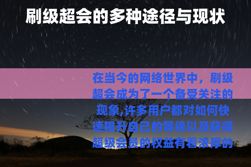 刷级超会的多种途径与现状