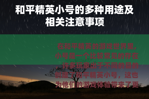 和平精英小号的多种用途及相关注意事项