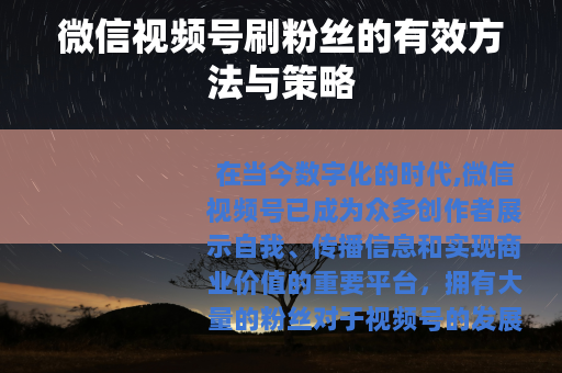 微信视频号刷粉丝的有效方法与策略