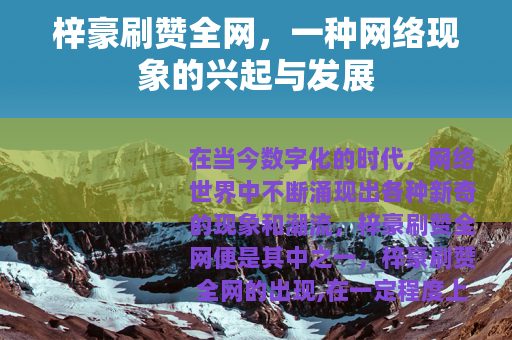 梓豪刷赞全网，一种网络现象的兴起与发展