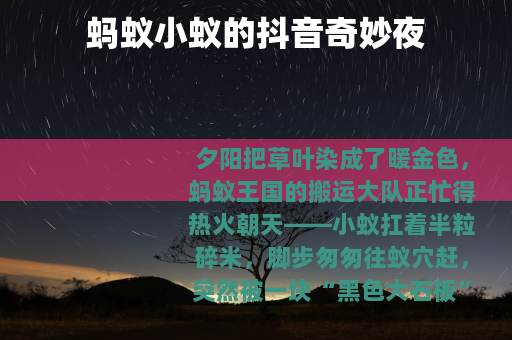 蚂蚁小蚁的抖音奇妙夜