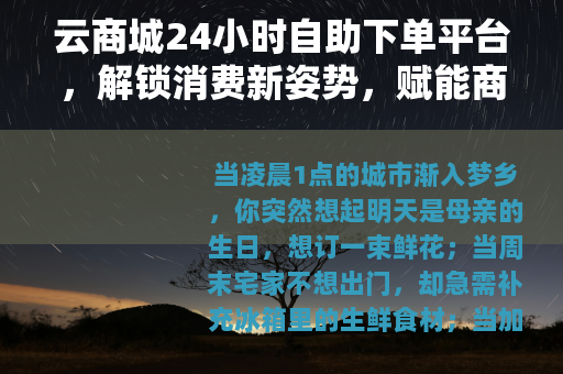 云商城24小时自助下单平台，解锁消费新姿势，赋能商家新增长