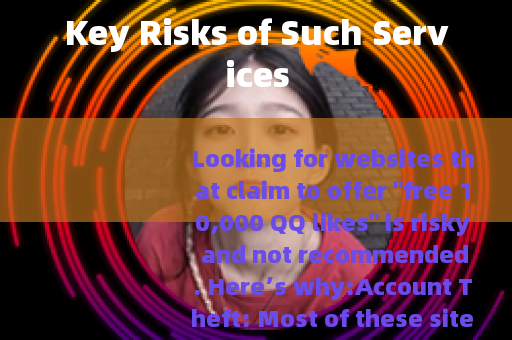 Key Risks of Such Services