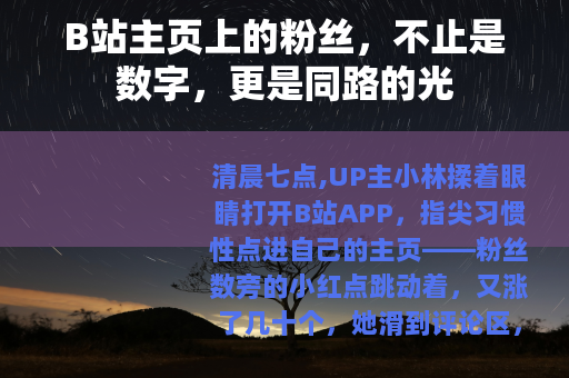 B站主页上的粉丝，不止是数字，更是同路的光