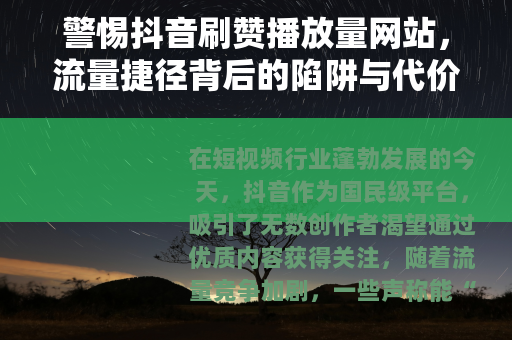 警惕抖音刷赞播放量网站，流量捷径背后的陷阱与代价