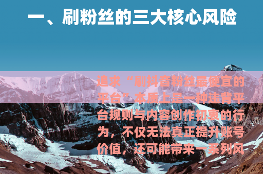 一、刷粉丝的三大核心风险